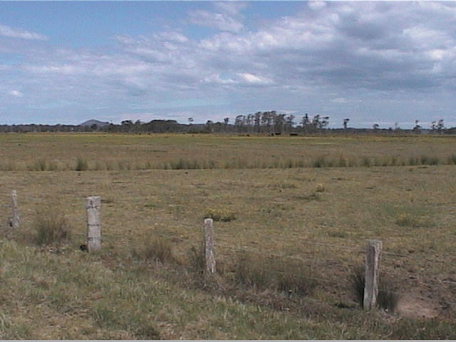 The view to the south looks the same.