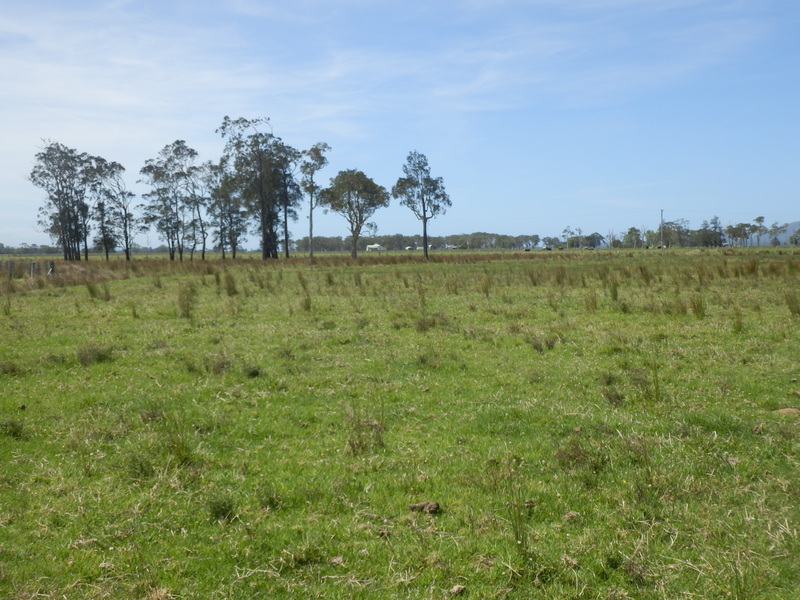 The Confluence from 30 m