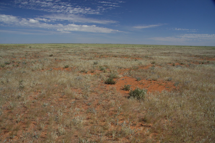 Panorama of General Area