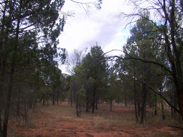 View from confluence