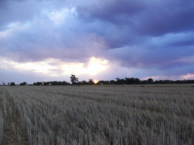 Sunset from the confluence