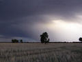 #5: Storm closing in