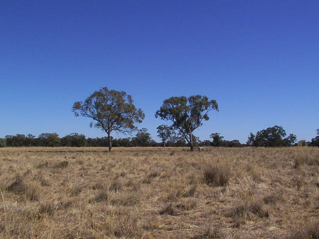 View from the confluence