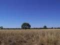 #5: View from the confluence