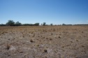 #4: View East (towards Trangie-Collie Road, 540 m away)