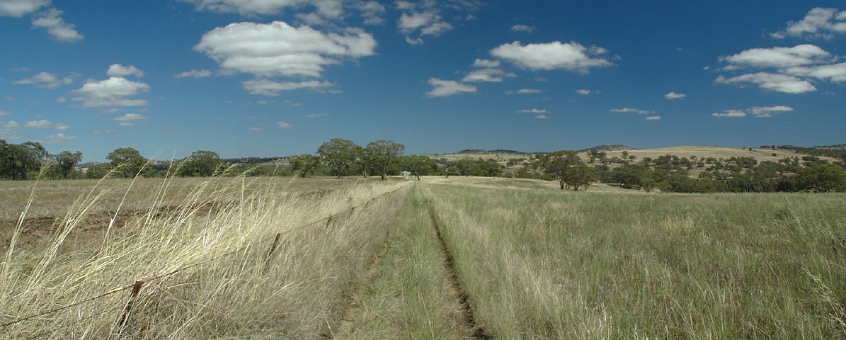 Looking west along the fence. Farmhouse in the distance.