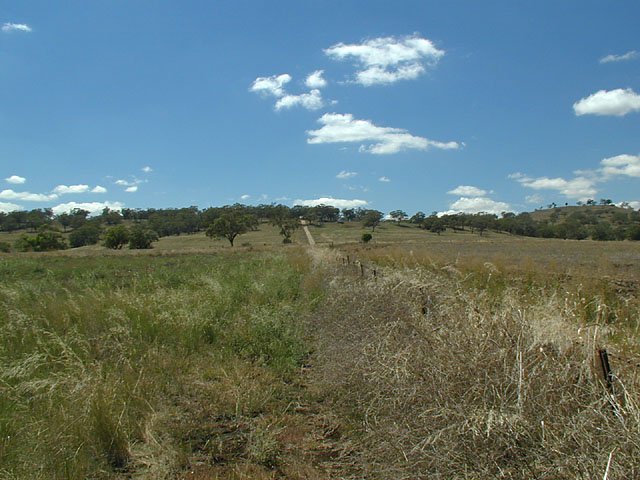 Looking east - Racecourse Road going up the hill.