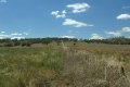 #4: Looking east - Racecourse Road going up the hill.