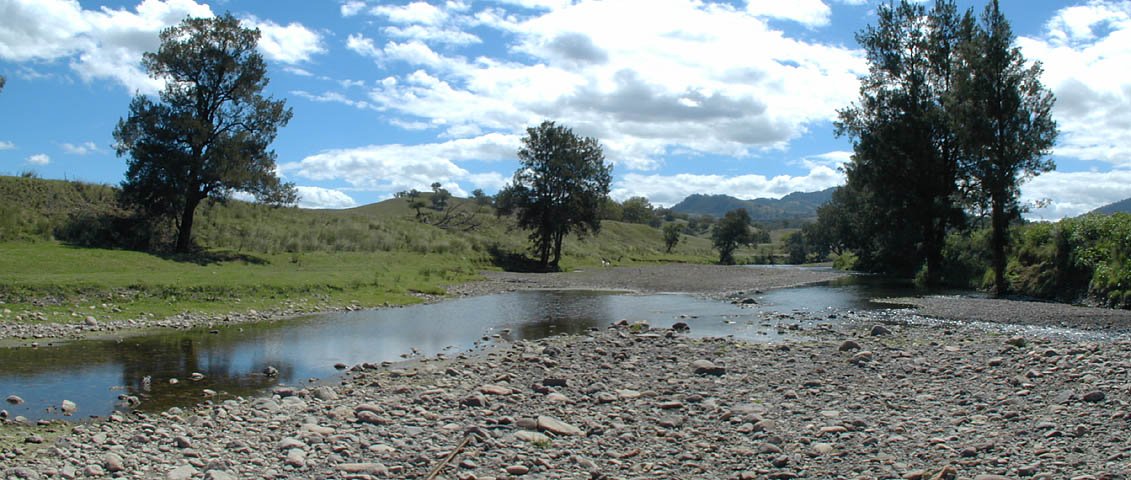 Pages River, where I crossed. Confluence is up over the left bank, 590m away