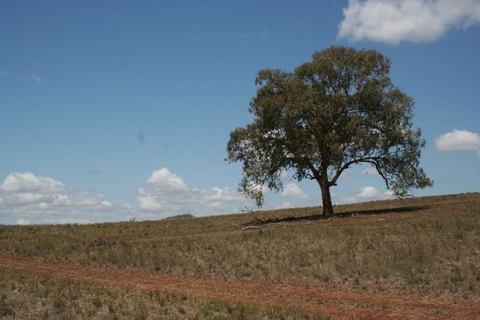 View to the North