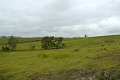 #3: Looking east from the confluence