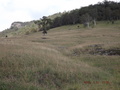 #4: Looking South to the Mograni Cliffs