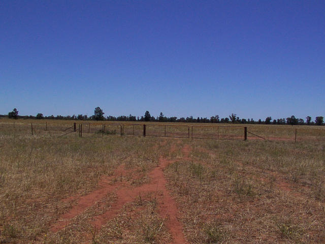 View from the confluence