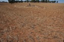 #5: The confluence point lies in a fallow farm field