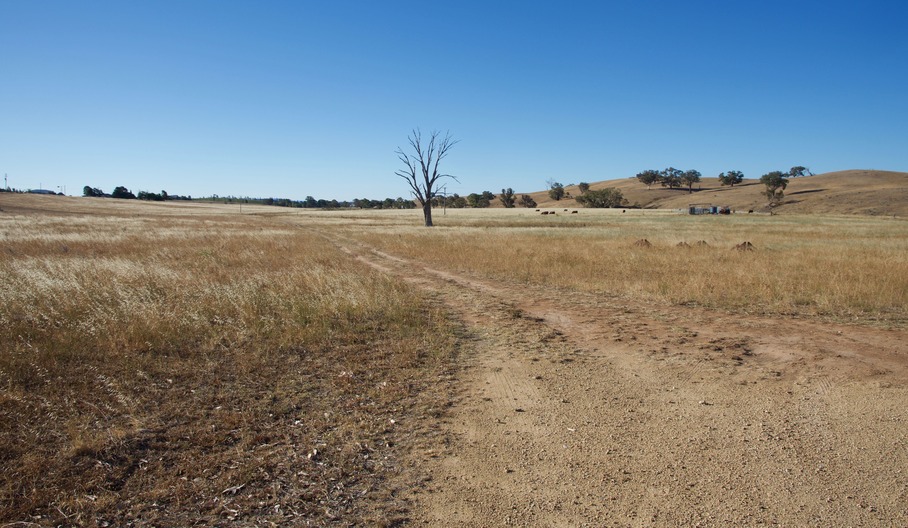 The confluence point lies in this farm field, 317m away