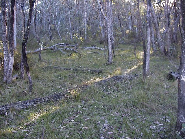 The downhill approach from the north