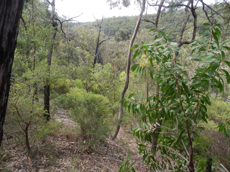 The Confluence from 10 m