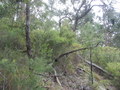 #3: View to the West