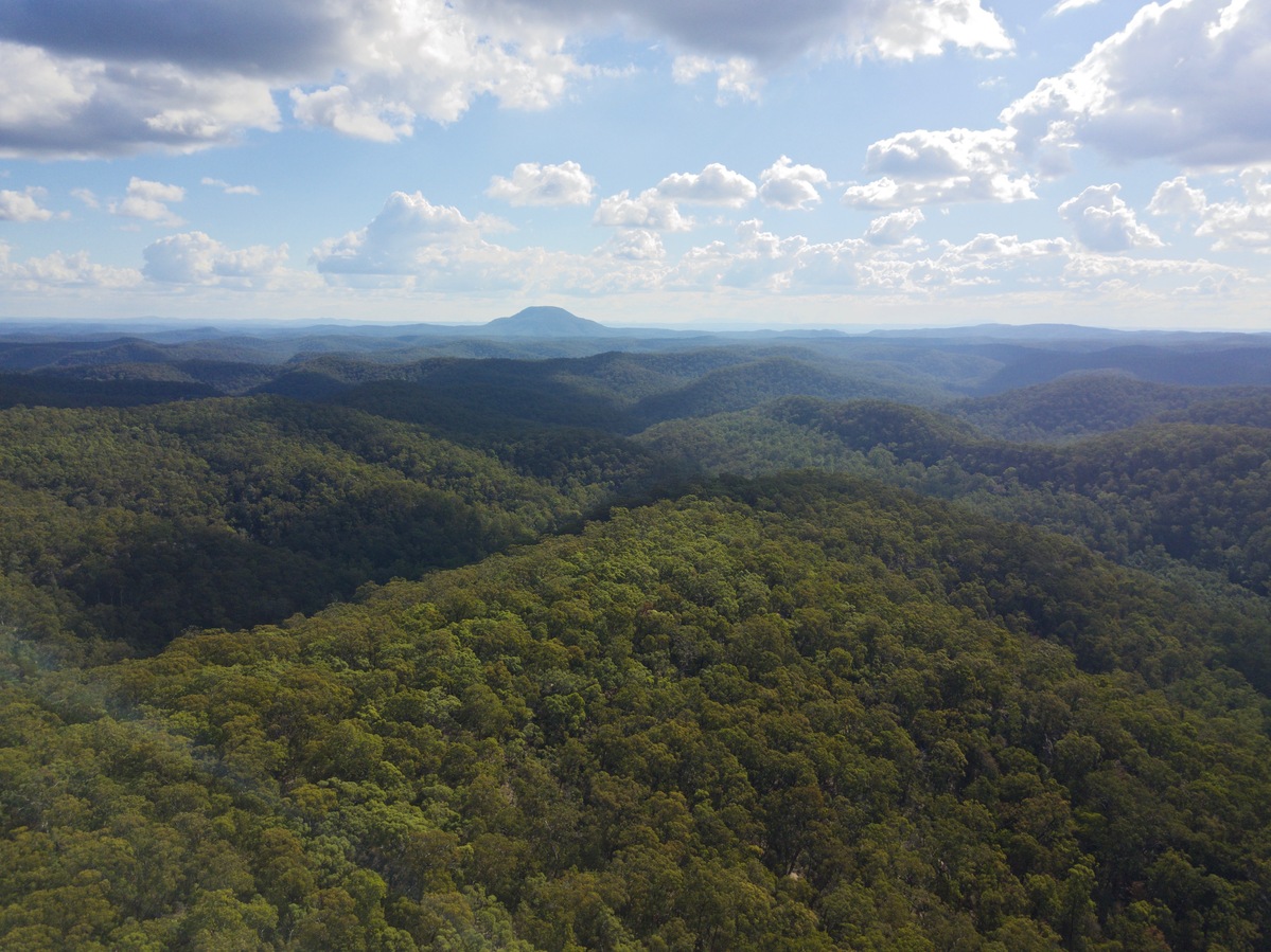 View West (towards Mount Yengo), from 120m above the point