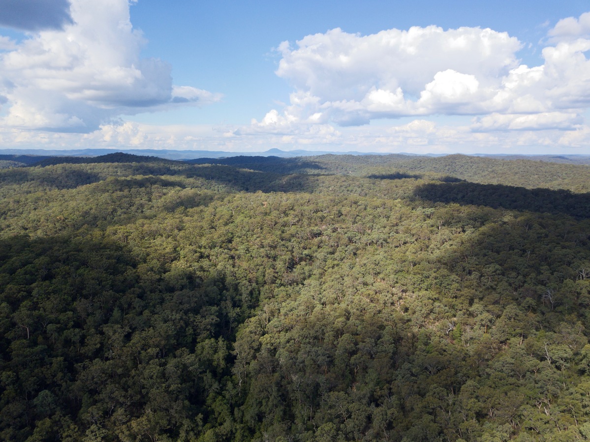 View East, from 120m above the point