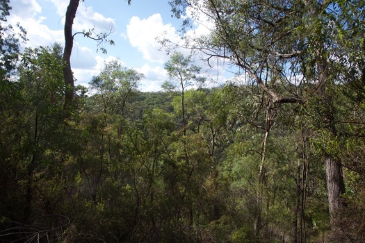 #1: The confluence point lies on a North-facing slope.  (This is a view to the North, down the slope.)