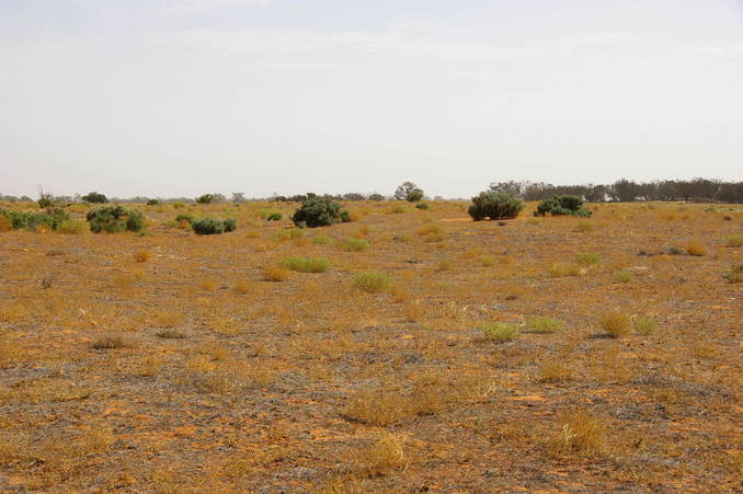 Looking West From Confluence