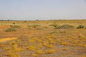 #3: Looking South From Confluence