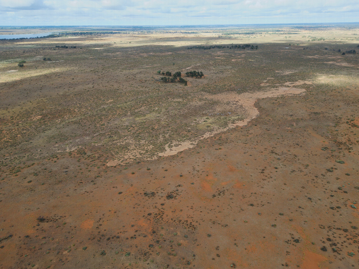 View South, from 120m above the point