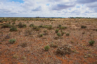 #2: View North