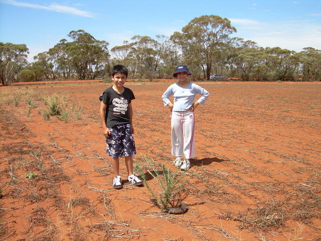 Kids, lizard and the car