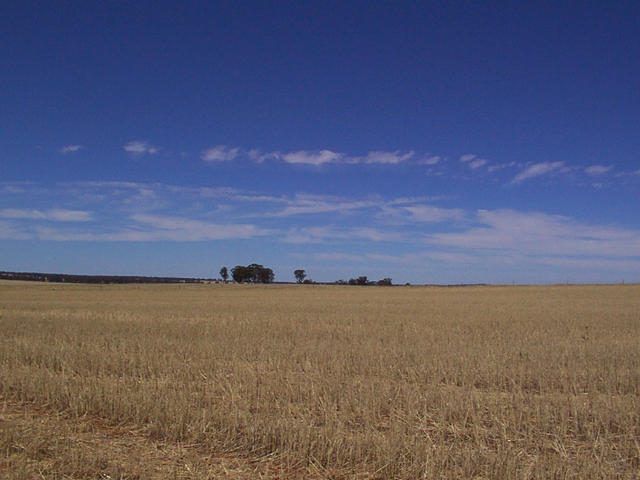 View from the confluence