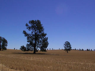 #1: View from the confluence