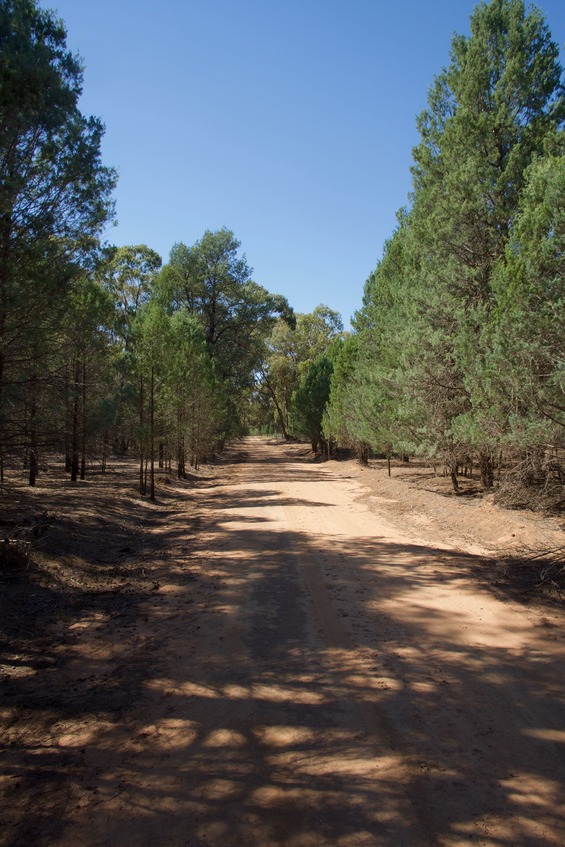 This dirt road passes less than 50 m from the point