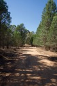 #7: This dirt road passes less than 50 m from the point