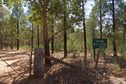 #8: I accessed the dirt road from this gate (off the Barmedman-Grenfell Road)