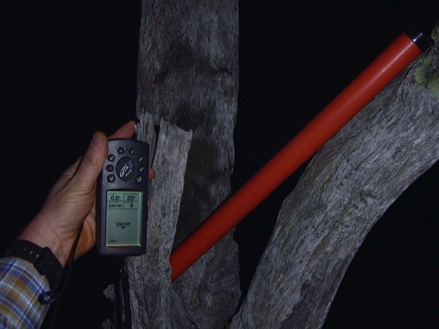 The confluence marker rests on a dead tree.