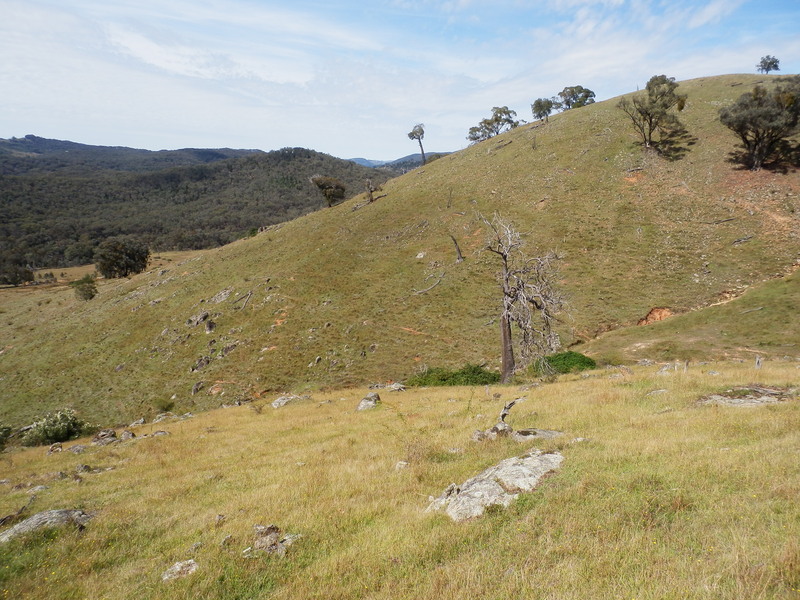 The Confluence from 30 m