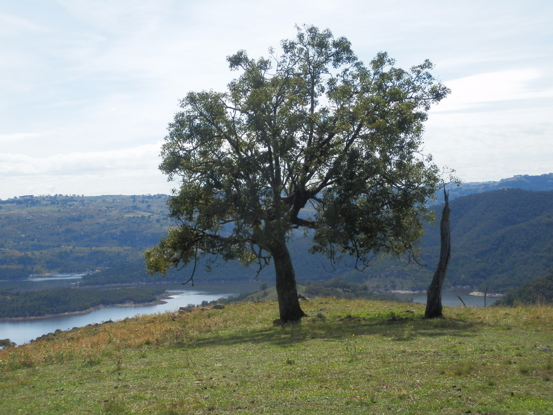 Overview of the Confluence from 200 m