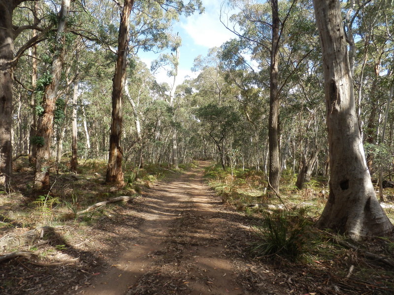 Track to the Confluence