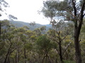 #4: View to the North
