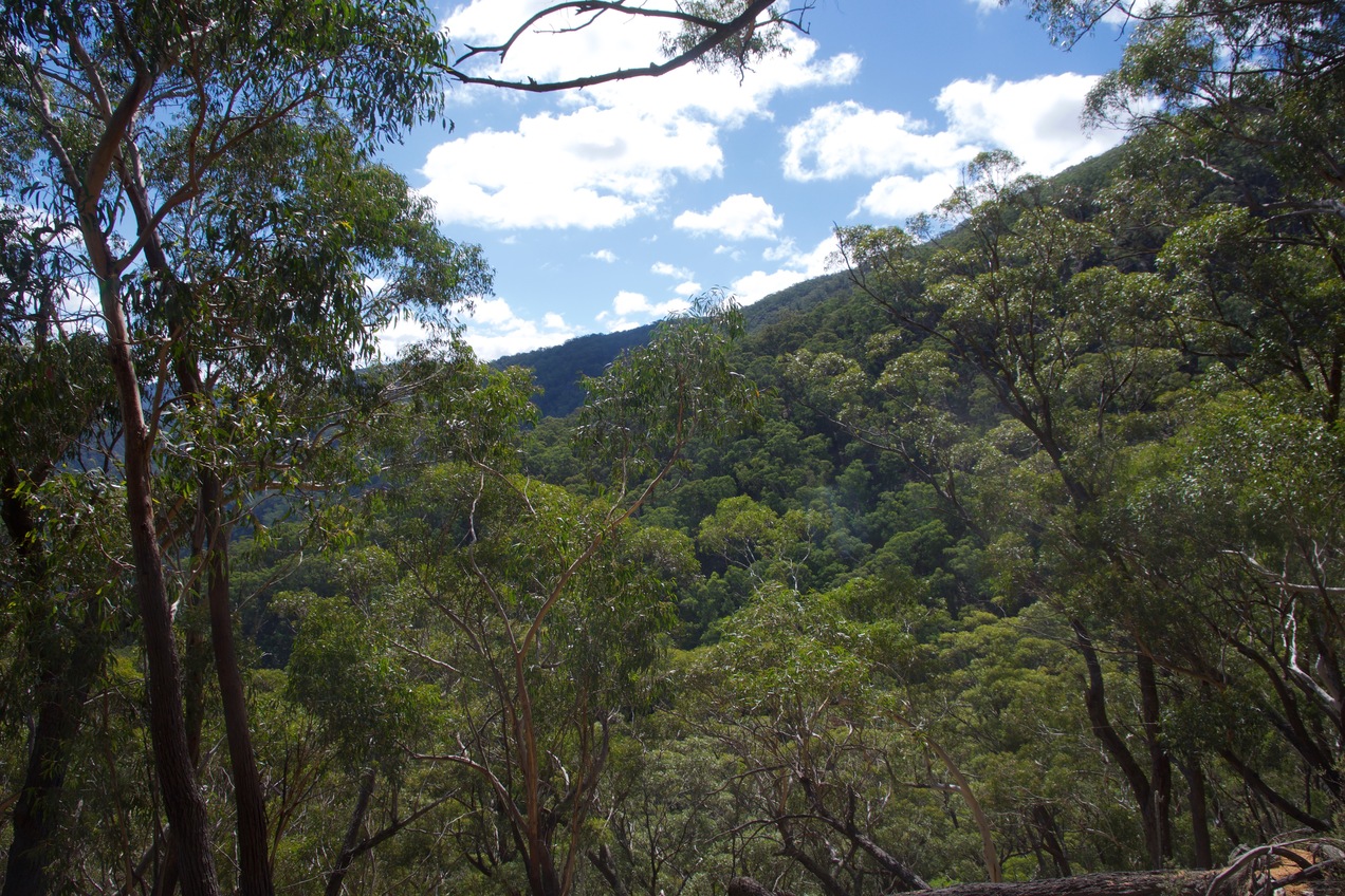 View North (across the steep slope)