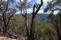 #4: View West (down the slope, across the Kowmung River gorge)