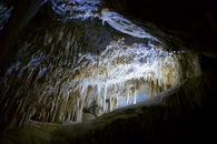 #7: Inside Lucas Cave, one of the caves of the nearby Jenolan Caves