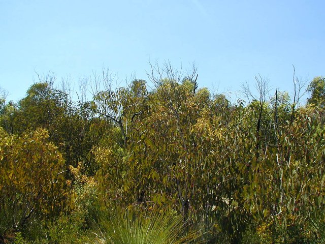 Looking east from the confluence