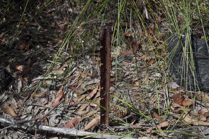The confluence point is marked by this heavily-rusted metal post