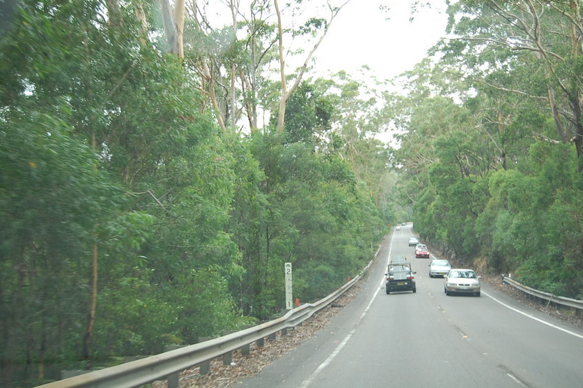 Road on the approach to the confluence
