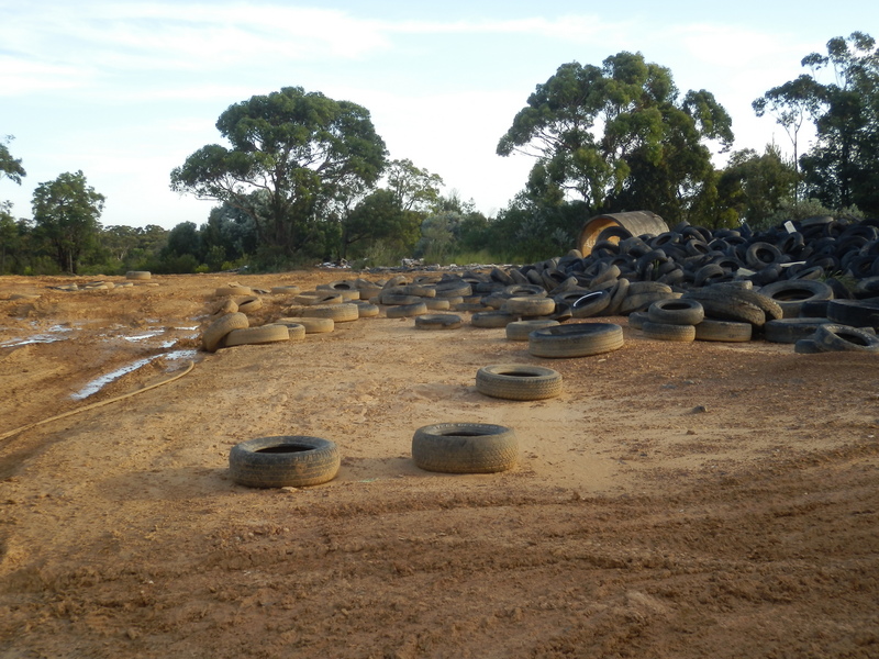 Dumped Tires 100 m from the Confluence