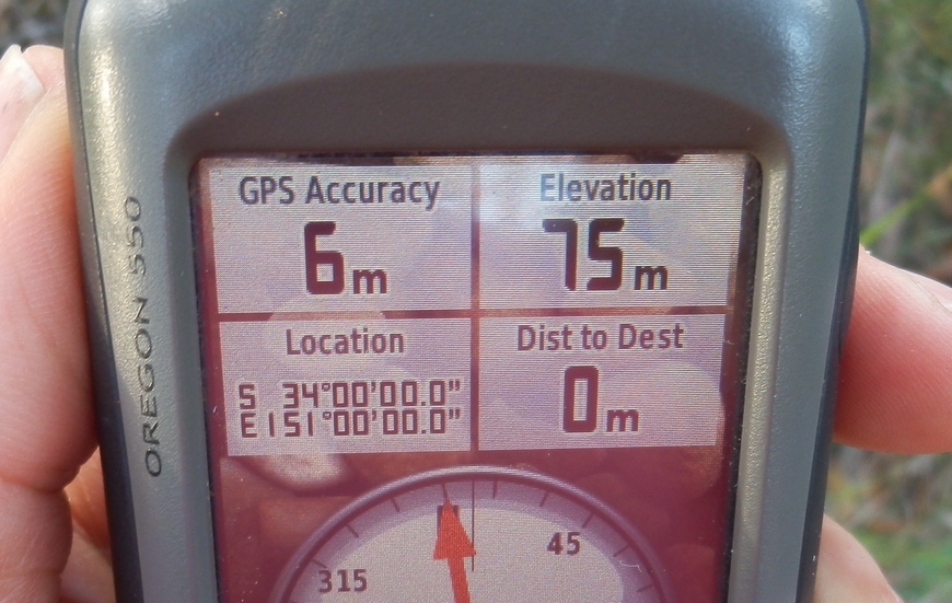 GPS Reading