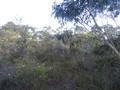#2: View to the South