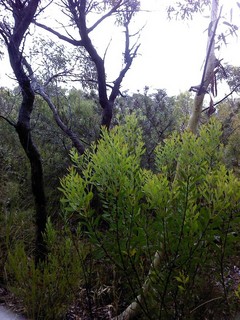 #1: View north from confluence